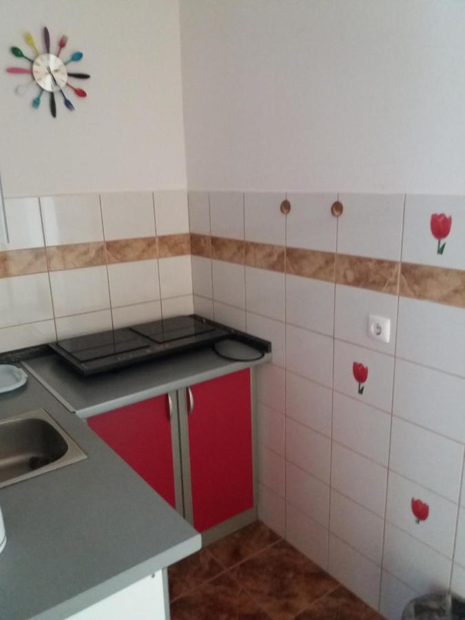 Apartmani Kalajevo 茨里克韦尼察 外观 照片